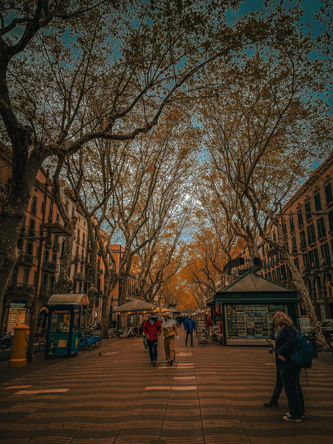 Paseo de Barcelona con árboles, quioscos y peatones